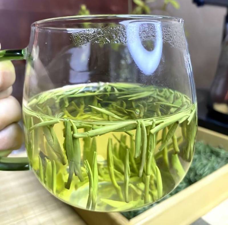 2025年雀舌新茶
