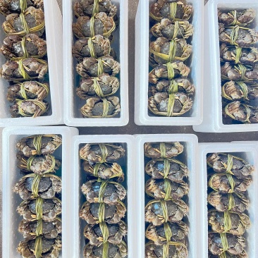 山东正宗黄河口大闸蟹，假一赔十