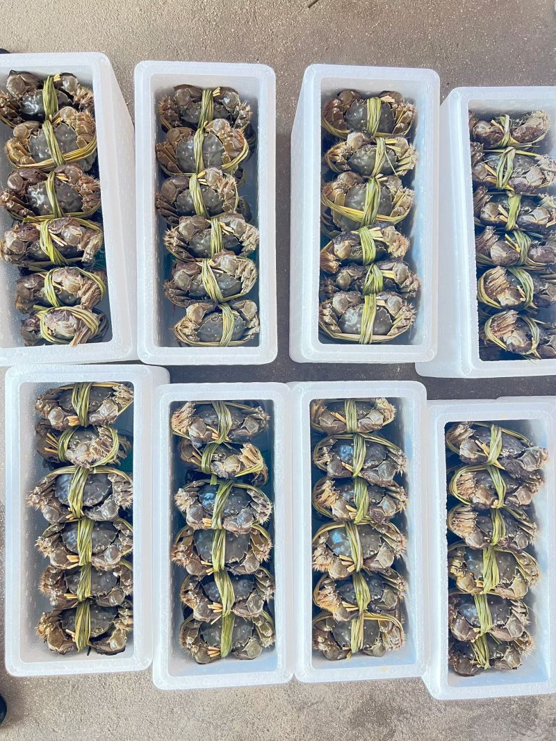 山东正宗黄河口大闸蟹，假一赔十
