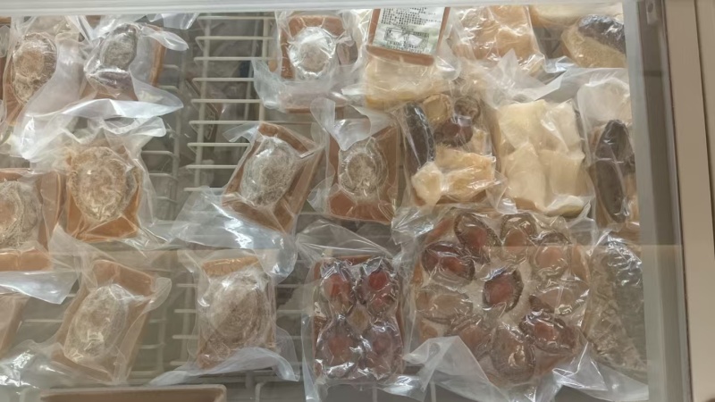 海鲜系列，餐饮家庭礼盒（鲍鱼，海参金汤）拿货价