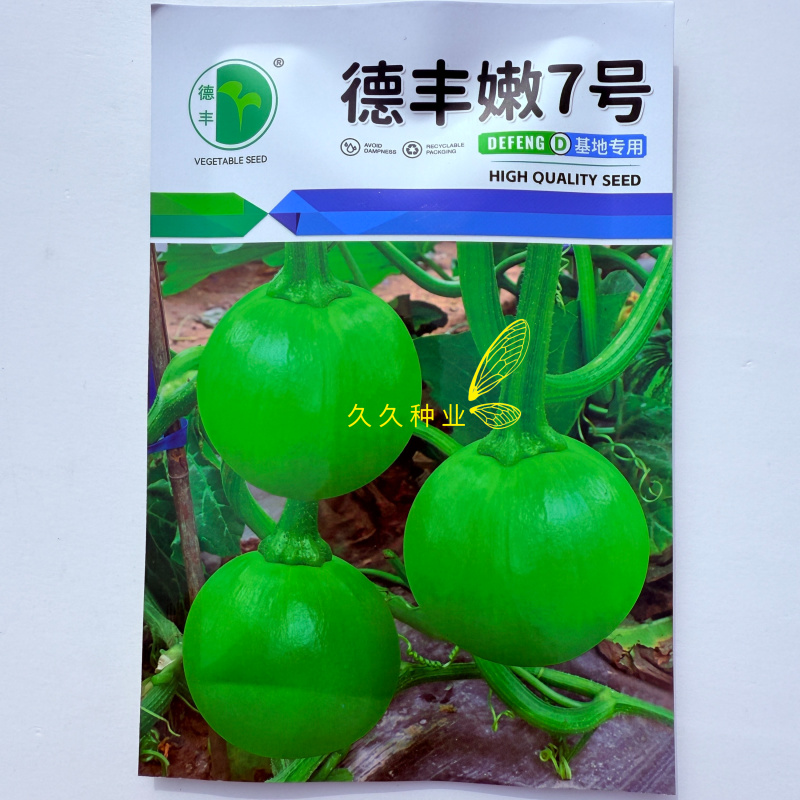 德丰嫩7号小青瓜种子早熟无蔓短蔓小南瓜种籽无藤小青瓜种孑