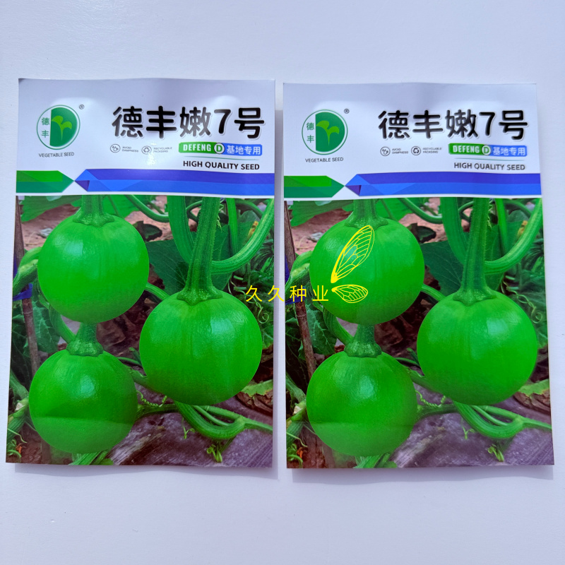 德丰嫩7号小青瓜种子早熟无蔓短蔓小南瓜种籽无藤小青瓜种孑