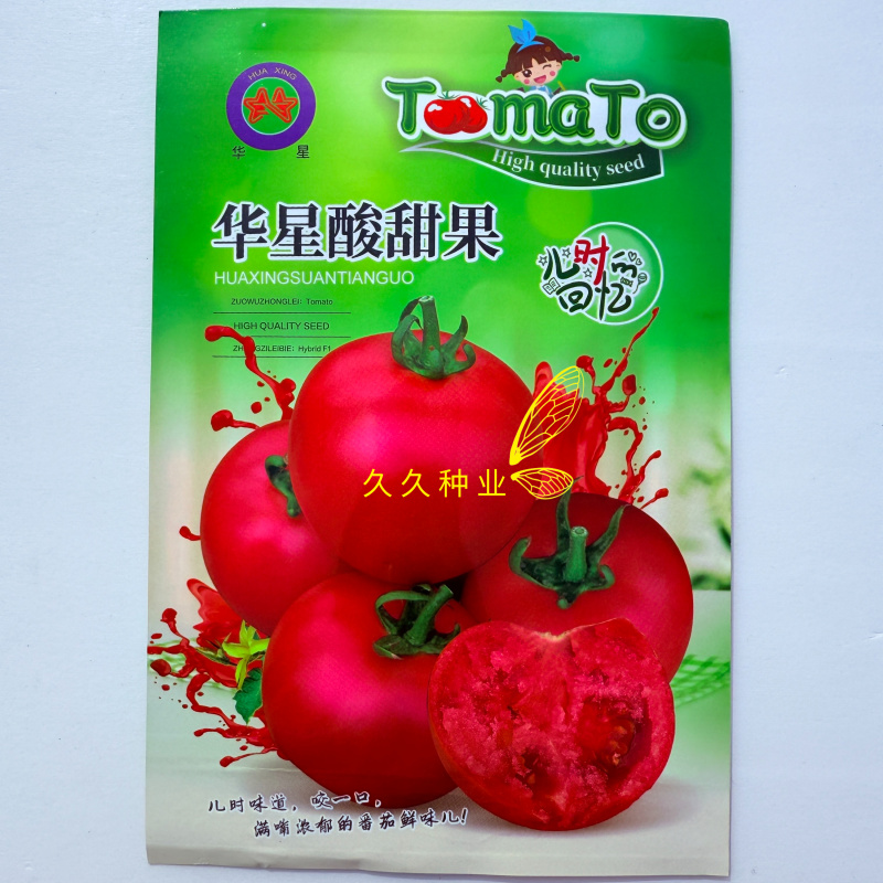 华星酸甜果水果番茄种子口感好无限生长高产抗TY病春秋播