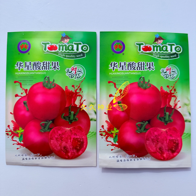 华星酸甜果水果番茄种子口感好无限生长高产抗TY病春秋播