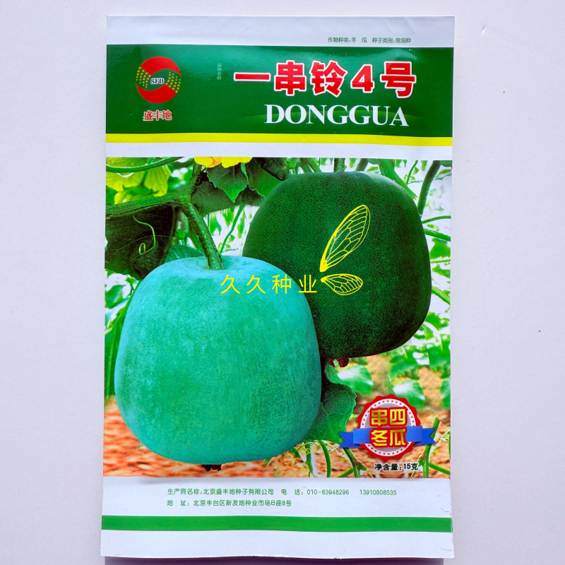 一串铃4号早熟冬瓜种子瓜型高桩底部略大瓜面有白粉商品性