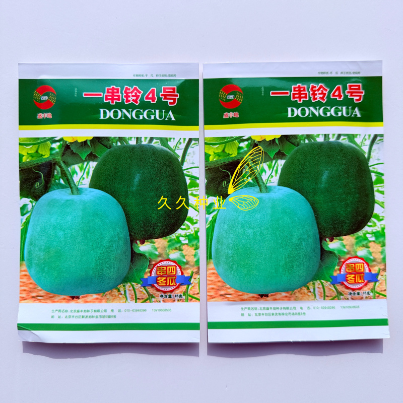 一串铃4号早熟冬瓜种子瓜型高桩底部略大瓜面有白粉商品性