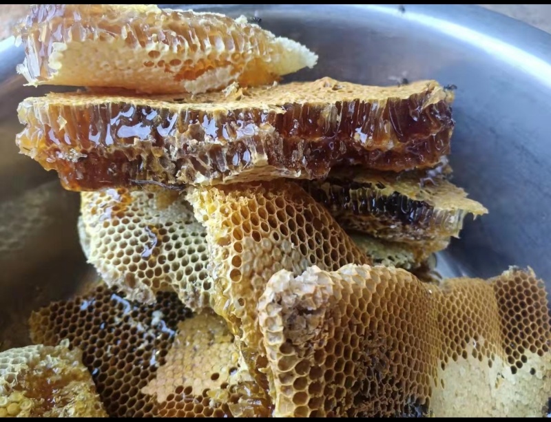 阿坝州茂县自然保护区农家百花蜜，土蜂蜜，一年只取一次蜜