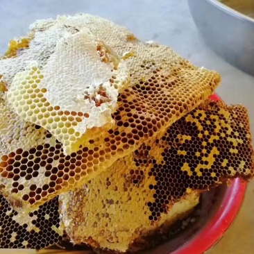 阿坝州茂县自然保护区农家百花蜜，土蜂蜜，一年只取一次蜜