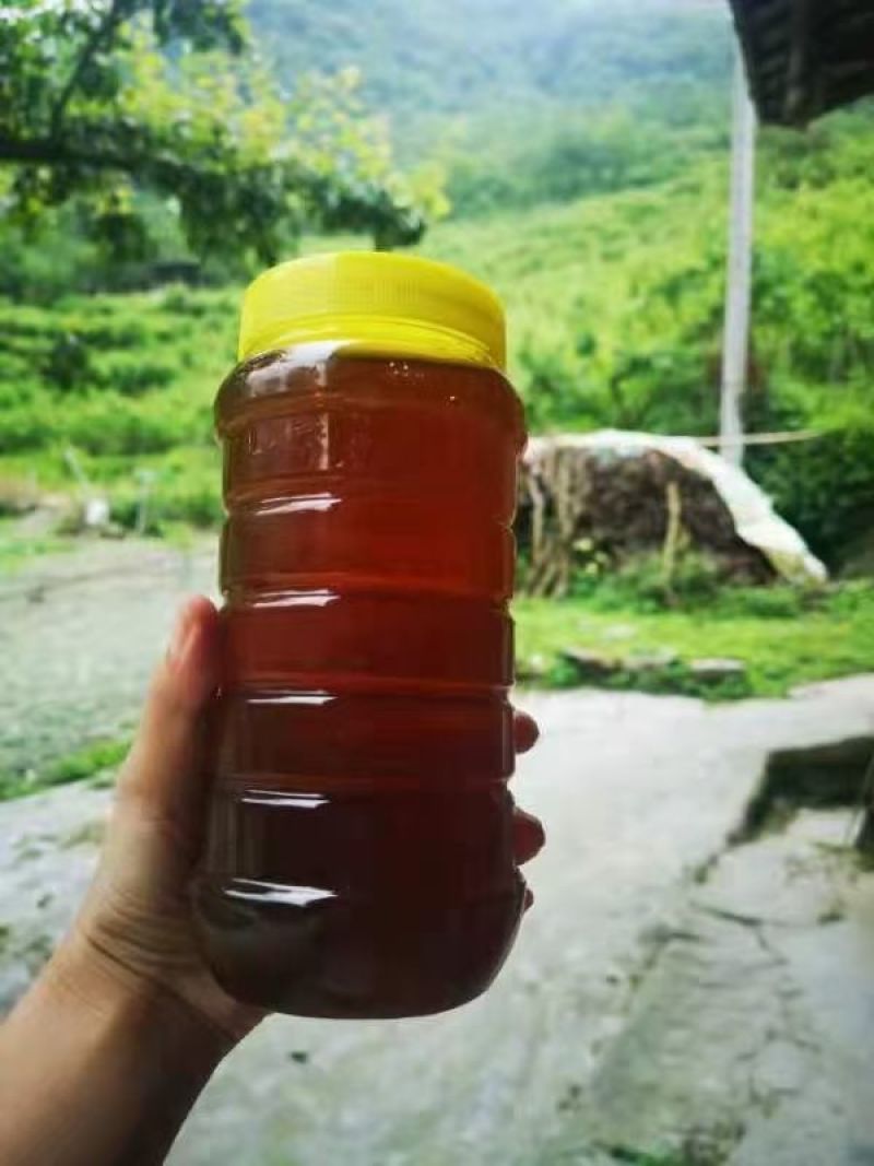 阿坝州茂县自然保护区农家百花蜜，土蜂蜜，一年只取一次蜜