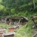 阿坝州茂县自然保护区农家百花蜜，土蜂蜜，一年只取一次蜜