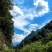 阿坝州茂县自然保护区农家百花蜜，土蜂蜜，一年只取一次蜜