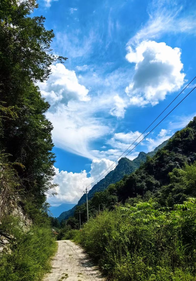 阿坝州茂县自然保护区农家百花蜜，土蜂蜜，一年只取一次蜜