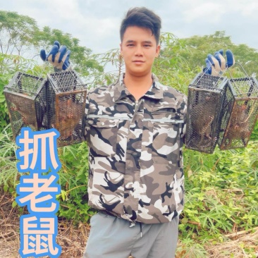 正宗田鼠。中大货，白条未经过稻草香薰，已处理干净