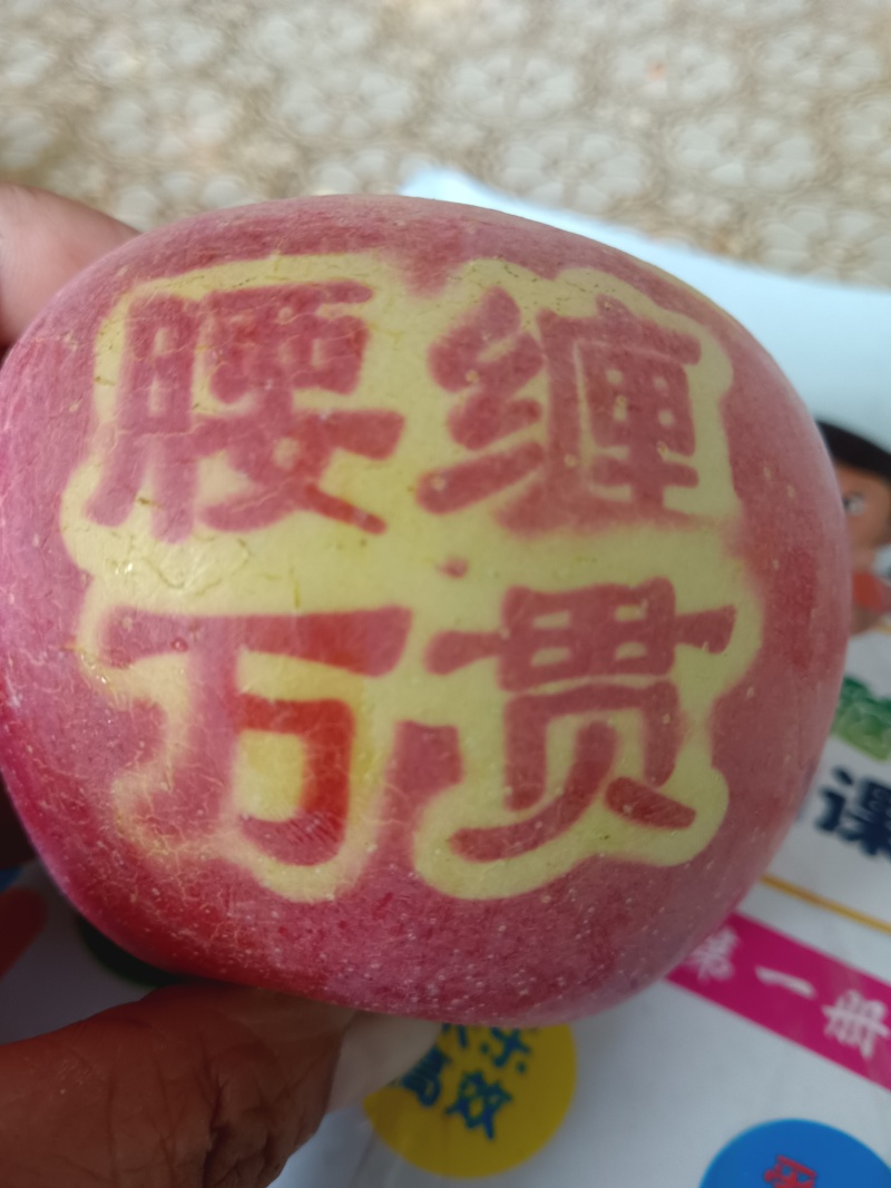 代收的代卖红富士冰糖心苹果