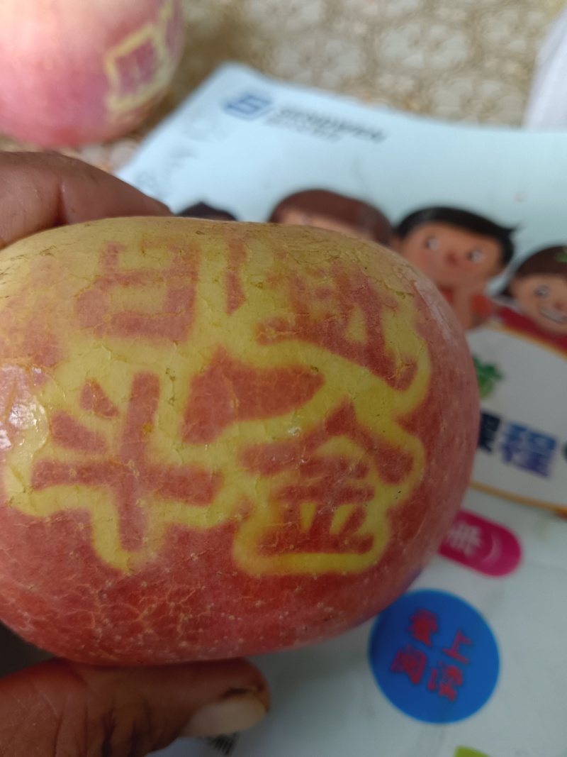 代收的代卖红富士冰糖心苹果
