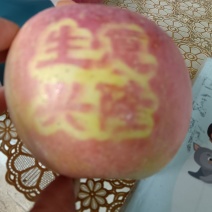 代收的代卖红富士冰糖心苹果