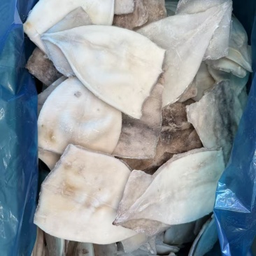 鱿鱼产品