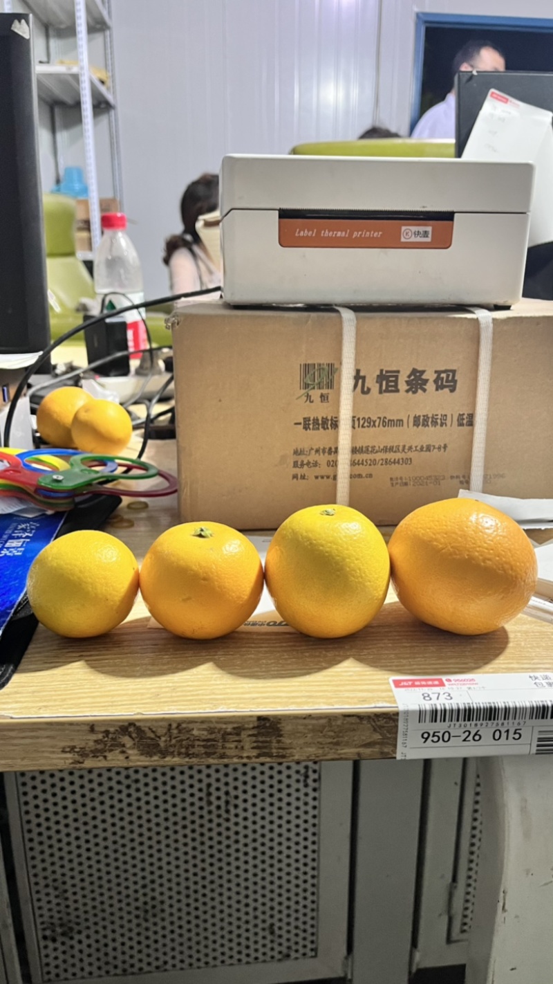 正宗湖南麻阳冰糖橙产地直采，支持一件代发
