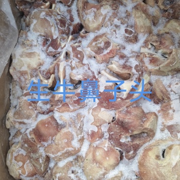 生牛鼻子头