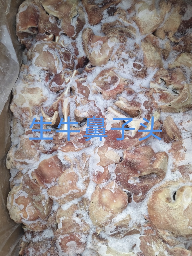生牛鼻子头