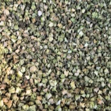 蒺藜青色蒺藜新货上市万信药业只做保真药材