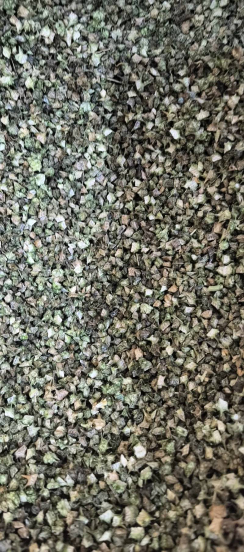 蒺藜青色蒺藜新货上市万信药业只做保真药材