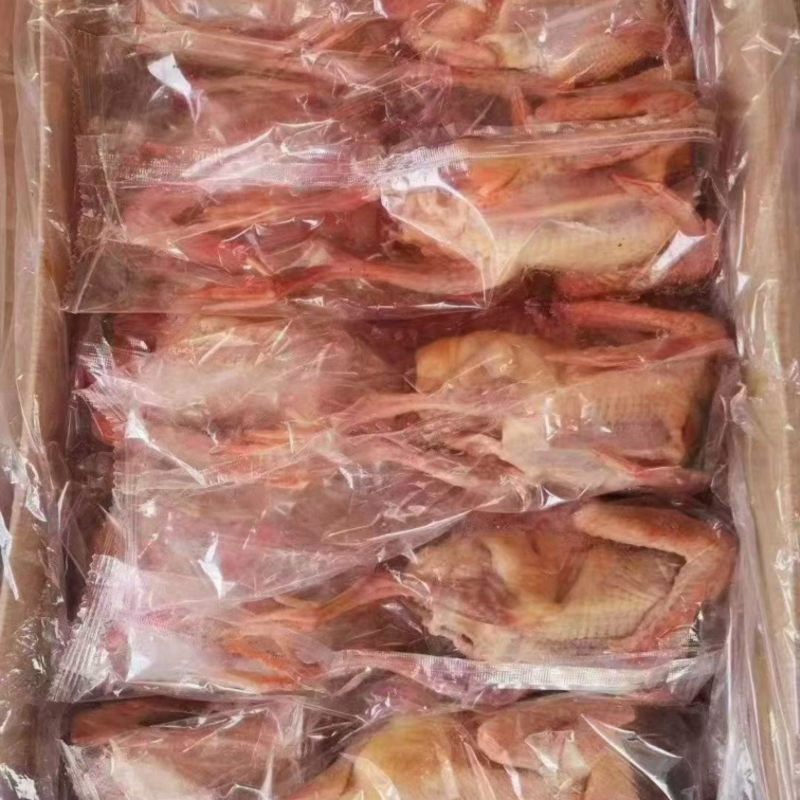 鸽子6-7-8-9-10两工厂直发100件起发
