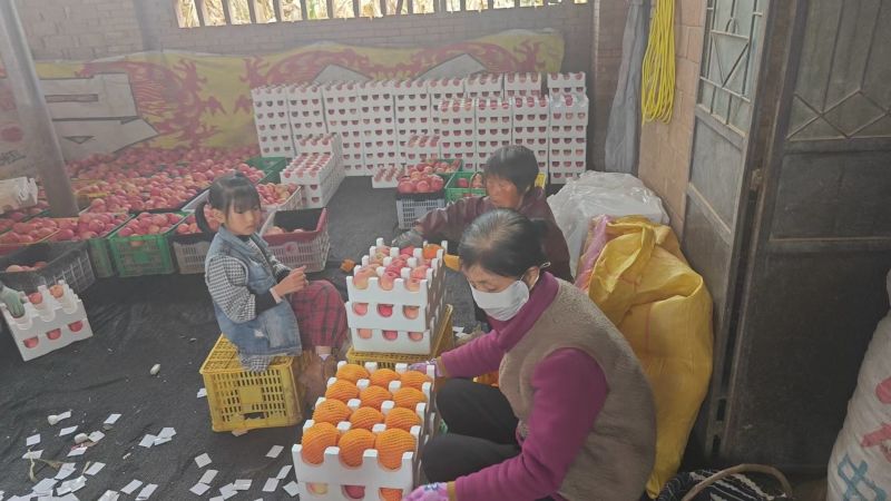 精品红富士