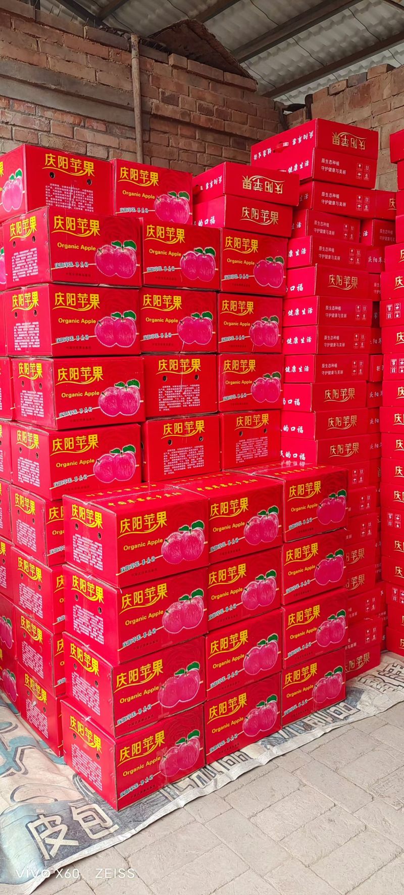 精品红富士