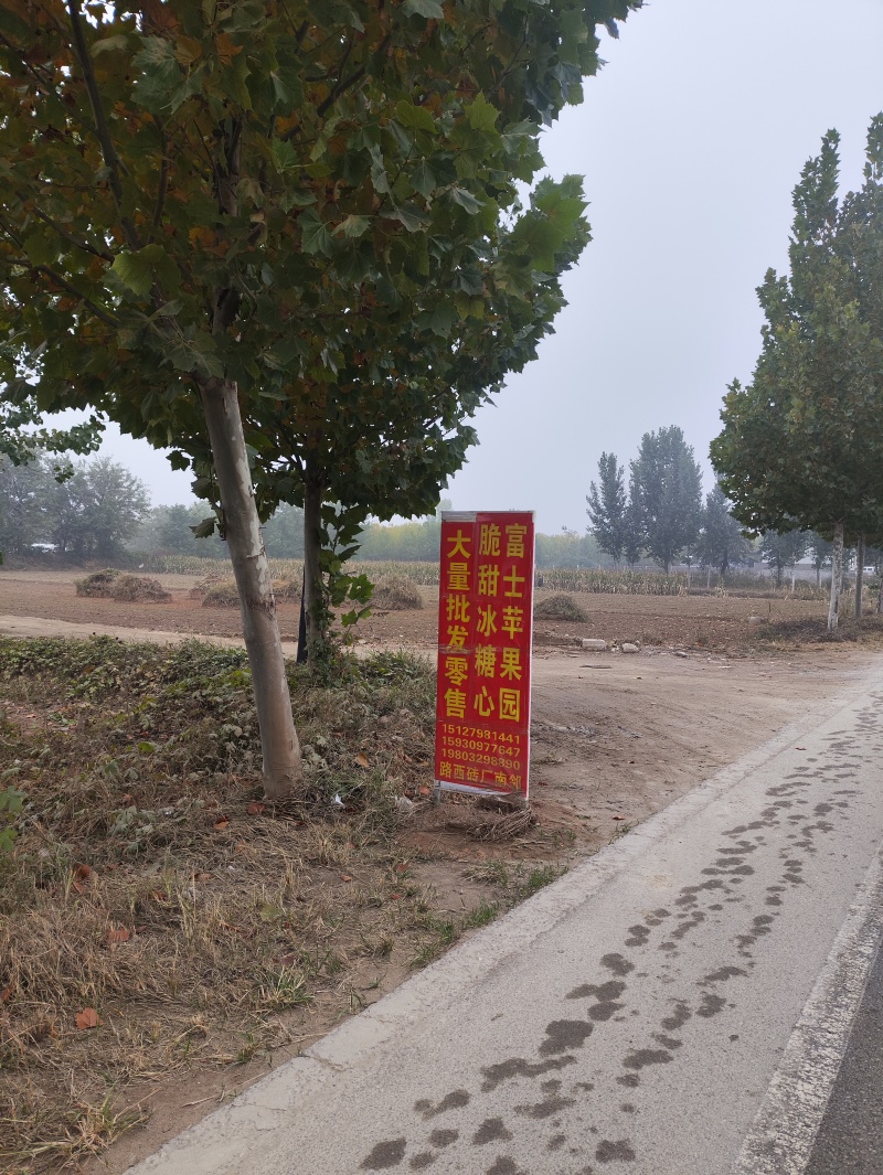 脆甜富士：邢台市隆尧县尧山狼狗饭店十字路口向南5百米路西