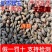 青连翘连翘中药材无硫新货野生天然干货包邮