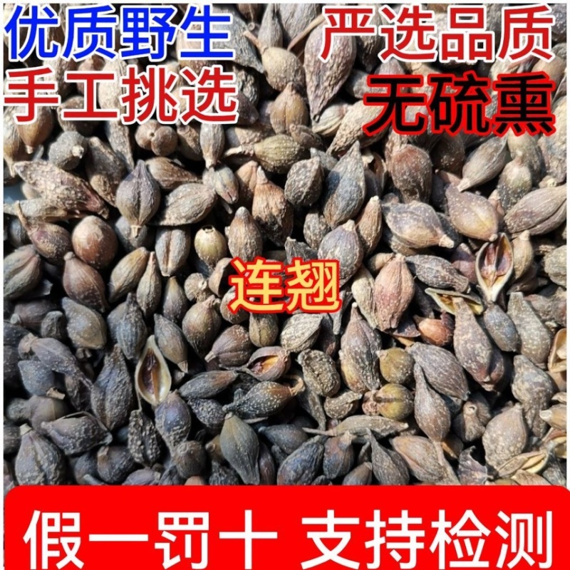 青连翘连翘中药材无硫新货野生天然干货包邮