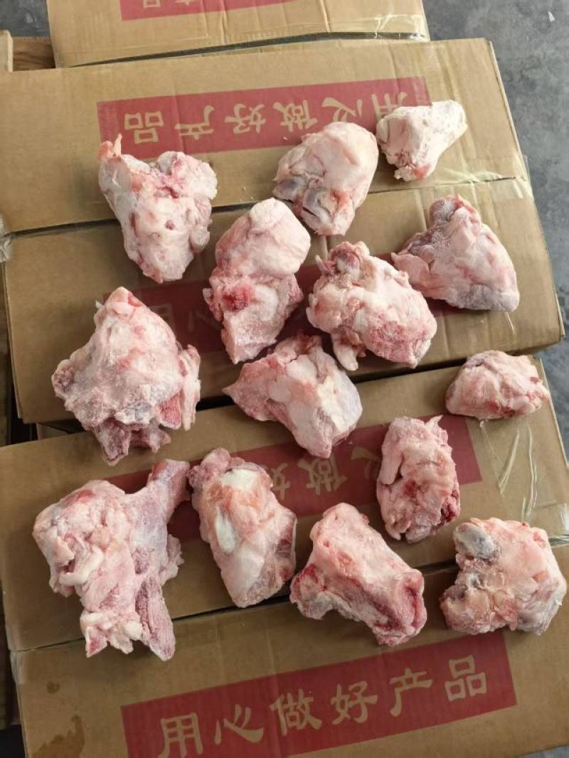 猪关节骨