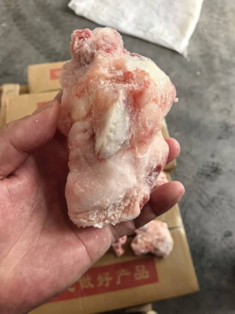 猪关节骨