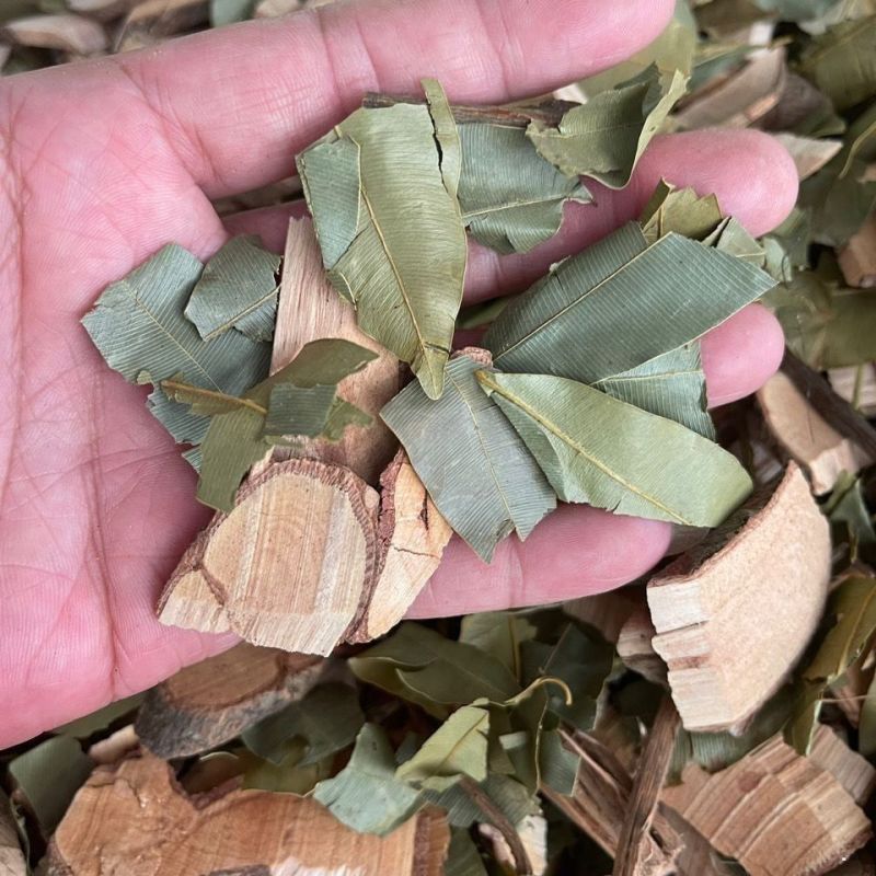 横经席晒干横茎席中药材横经席跌打将军碎骨莲梳篦木横径席将