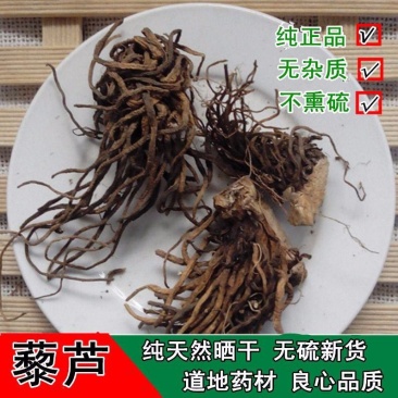七厘丹野生藜芦中药材藜芦力芦梨芦山葱憨葱七里丹
