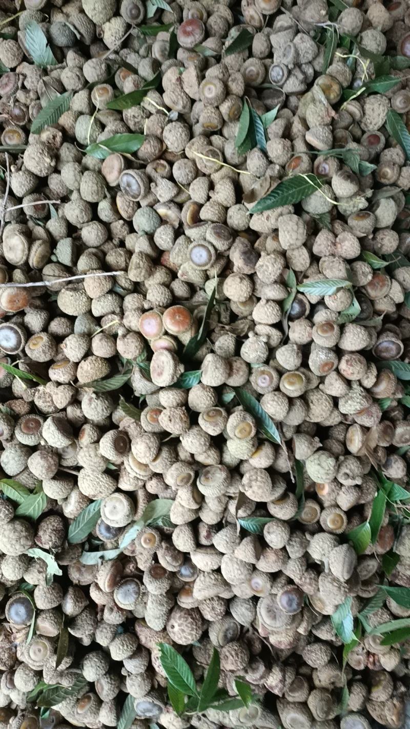 风流果够老的，大量现货了