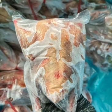 8两左右乳鸽，7月份存货，低于市场价。