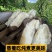 云南灵芝山药长期供货