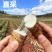 云南灵芝山药长期供货