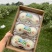 台湾珍珠芭乐，有机种植带绿色食品标