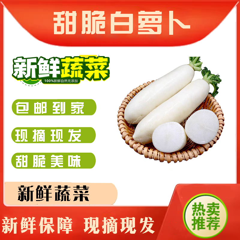 湖北天门白萝卜/湖北白萝卜/产区直发/大量有货