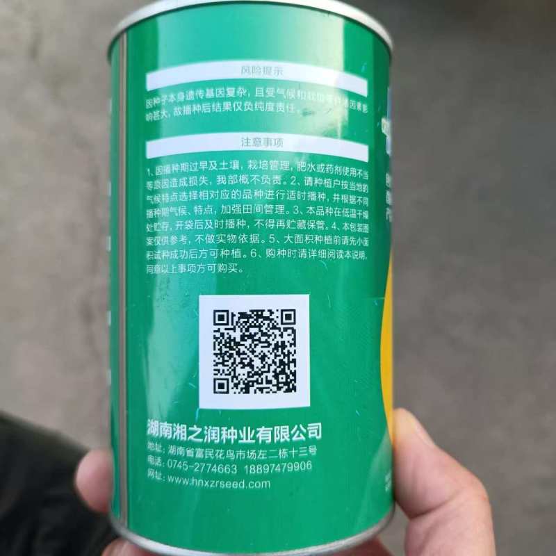 黄金蜜黄金果薄皮甜瓜香瓜种子香味浓脆甜多汁果皮金黄果肉绿