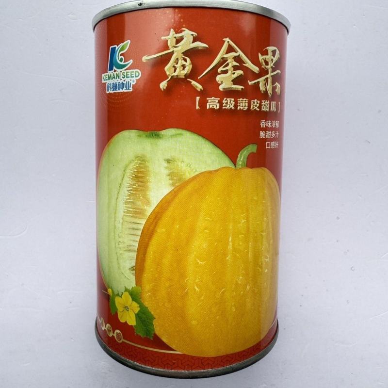 黄金果甜瓜种子果皮金黄色果肉绿白色甜瓜种子香味浓郁脆甜多
