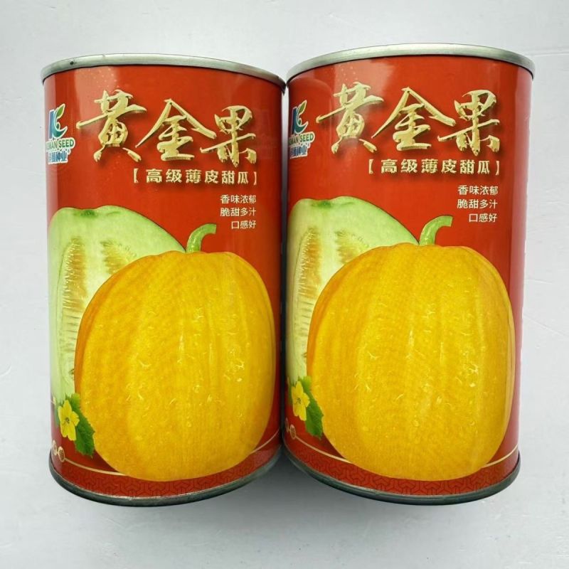 黄金果甜瓜种子果皮金黄色果肉绿白色甜瓜种子香味浓郁脆甜多