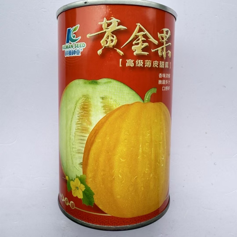 黄金蜜黄金果薄皮甜瓜香瓜种子香味浓脆甜多汁果皮金黄果肉绿