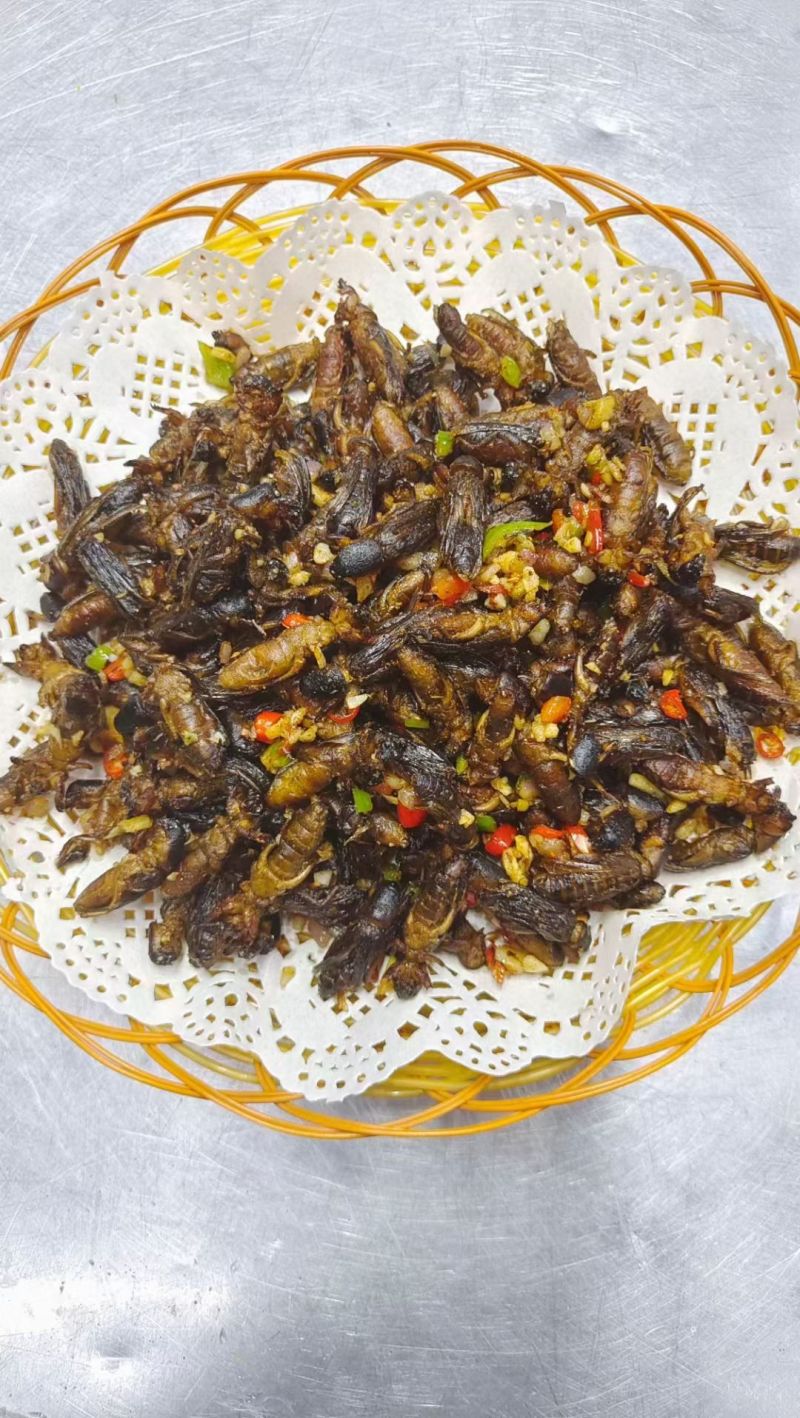 真正的产地蝼蛄欢迎老板们大量订购，包装质量充足