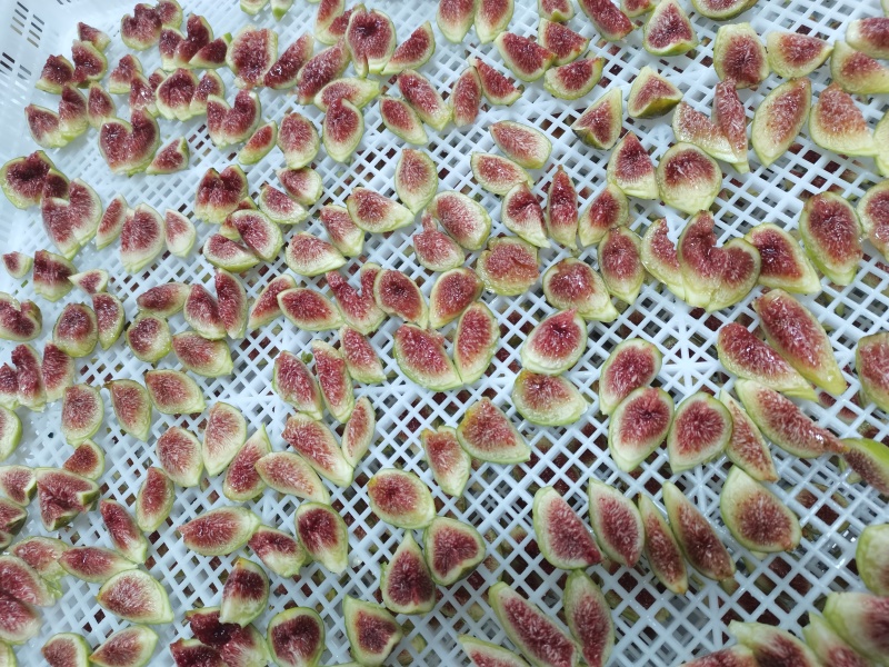 无花果条