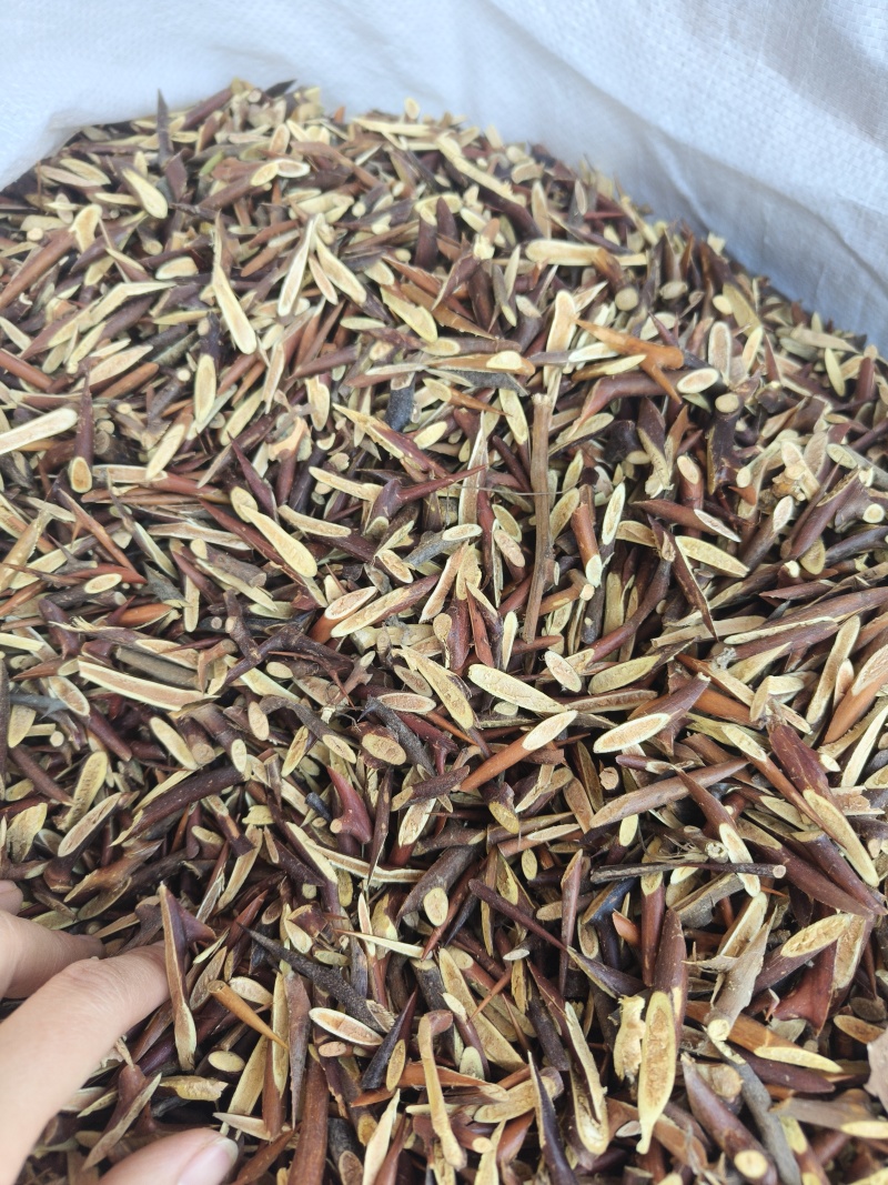 皂针皂刺今年新货颜色好祥泰药材栈中药材批发零售