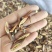 皂针皂刺今年新货颜色好祥泰药材栈中药材批发零售